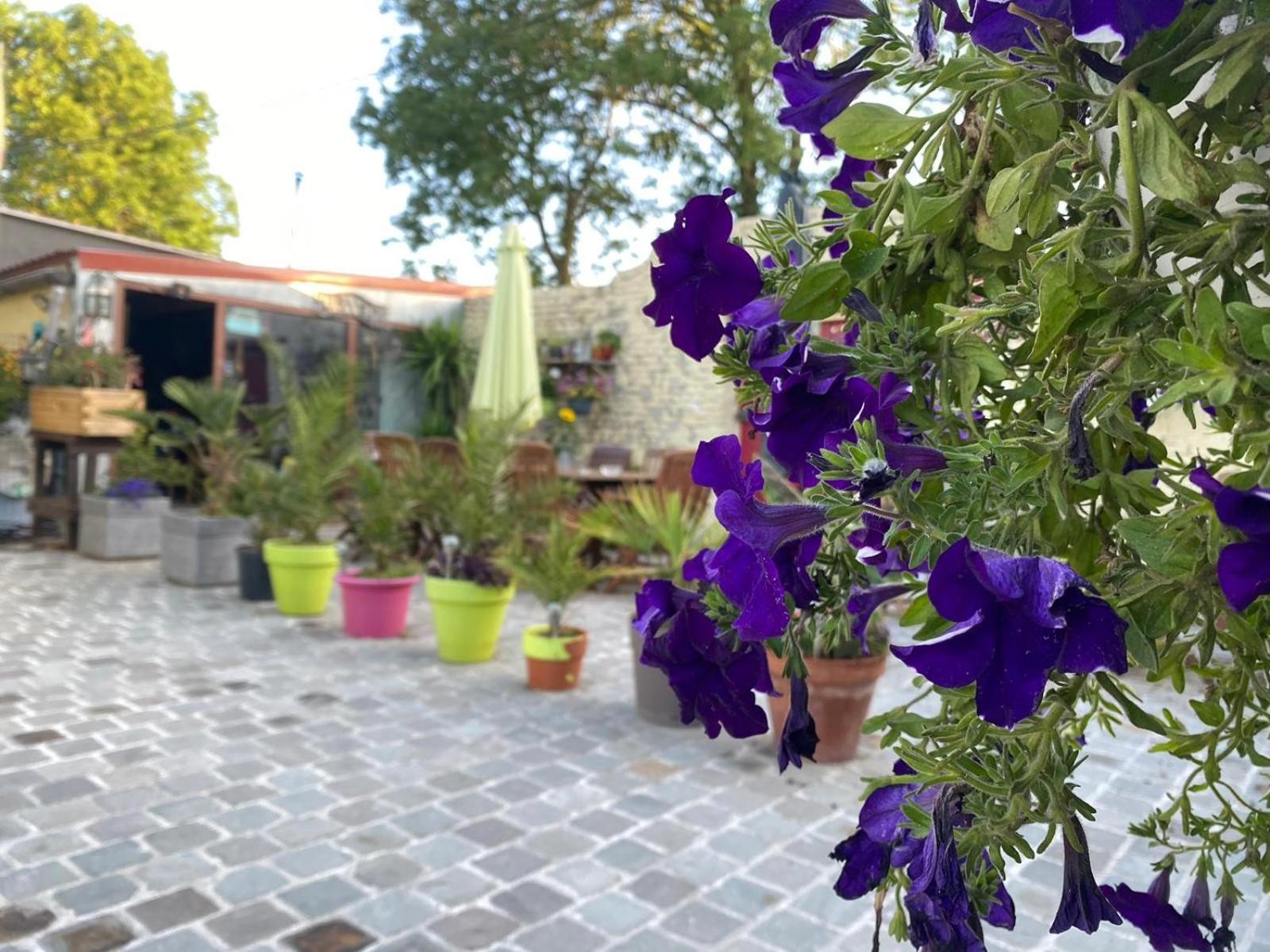 בית הארחה גמבלו 	Le Relais De La Posterie מראה חיצוני תמונה
